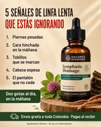Drenaje Linfático Gotero Vidrio Con Caja